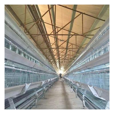 China Easily Install Multiply Manufacturers Wholesale A Scale Automatic Broiler Chicken Cage for sale