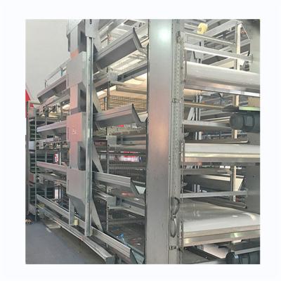 China Easily Install High Quality Chicken Poultry Farms Project Layer Breeding Cage System for sale