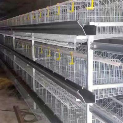 China Easily Install H Type Automatic Layer Chicken Cage System Poultry Farm For Egg Laying Hens for sale