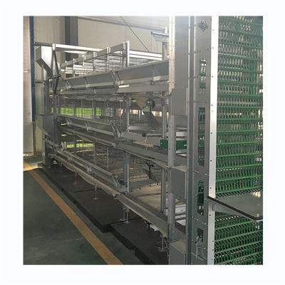 China Easily Install Modern Design Automatic Brooder Pullet Cages For Layer Chicken Cages for sale