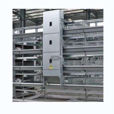 China Easily Install Custom Egg Processing Poultry Farms Layer Broiler Cages for sale