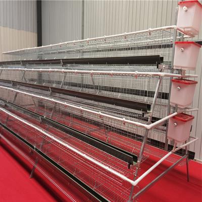 China Easily Install Hot Sale Galvanized Automatic Type A Chicken Cages For Layer Poultry Farming for sale