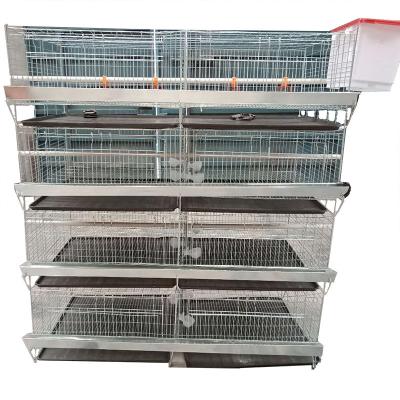 China Easily Install Layer H Type Chicken Cage Steel Stepped Cages For Used Chicken for sale