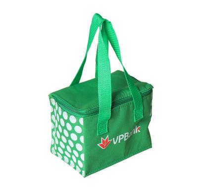 China Premium Insulated Custom Logo Printed Non Woven Cooler Bag for sale