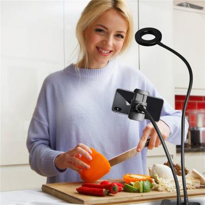 China Mini Cell Phone Holder Stand Livestream Selfie Ring Led Light with Wireless Outdoor for sale