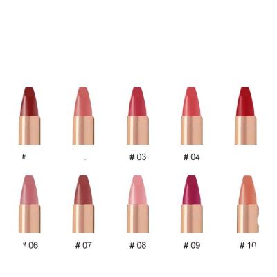 China Modern Private Label Matte Lipstick Waterproof Makeup Sunscreen Factory Supply Wholesale Cosmetics for sale