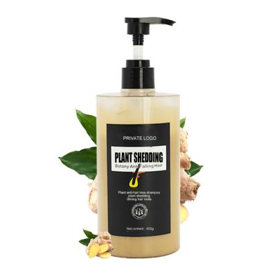 China Quality Control Ginger Hair Care Eco Friendly Treatment Shampoo Anti Loss Prevention Lice Best for sale