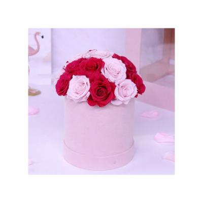 China Romantic Luxury Real Natural Valentine's Day Decorative Flowers of Roses for sale