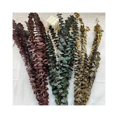 China Romantic ; Environmental Protection ; 2021 new product popular products dry flowers tend tenuifolia eucalyptus stems golden leaves for sale