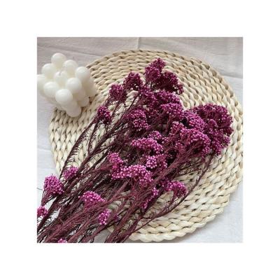 China Romantic ; Environmental Protection ; Mini Flower Dried Colored Rice Happy Preserved Natural Flower Natural Diy Material for sale