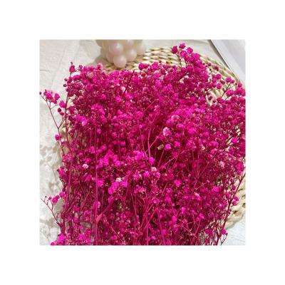 China Fashional Gift Wedding Decoration Wholesale Preserved Gypsophila Baby's Breath Flowers for sale