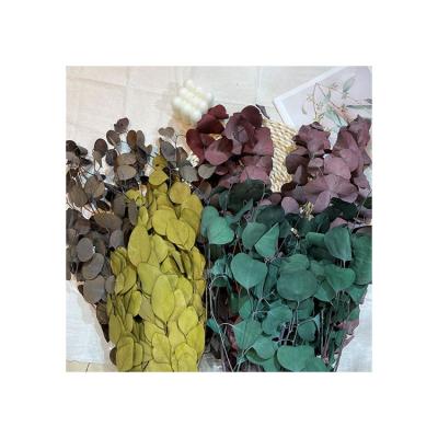 China Factory sale wholesale natural petal eucalyptus leaf fresh-keeping bouquet for sale