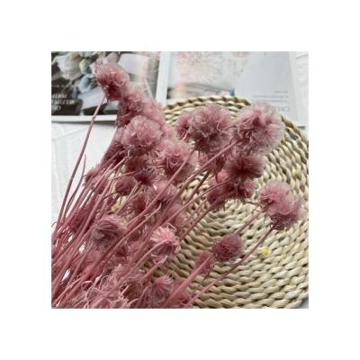 China Windmill home and indoor fruit decoration dress decorative flowers dried flowers Mini Bouquet Preserved for sale