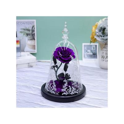 China Best Selling Lasting Roses Beauty And Eternal Beast In Glass Dome Mounted Real Preserved Flower for sale