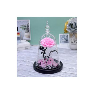 China Durable Fashion Eternal Roses Preserved in Flower Glass Dome Rose Beauty and the Beast for sale