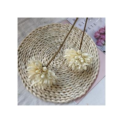 China Ins Style Bohemian Magnolia Dry Flower Bouquet Decor Room Decoration White Flower for sale