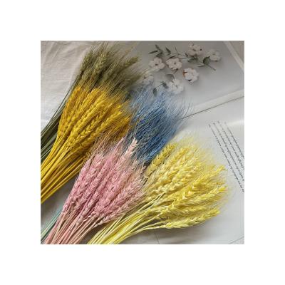 China Factory direct sales environment friendly 2021 dry wheat decor modern flower dried flower decoration for sale