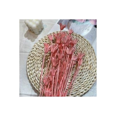 China Dried Flower Preserved Octagon Flower at Fashional Gift Factory for Preserved Flower Arrangement for sale