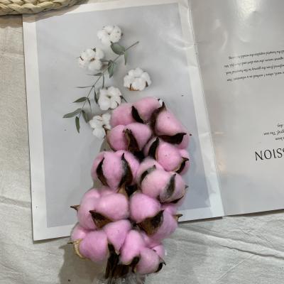 China 100% Natural INS Hot Sale Dried Stem Flower Colorful Single Head Cotton Dry Flower For Home Decoration for sale