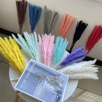 China Low Carbon Flower of Life Plant Dried Decoration Thatch Natural Dry Pampas Grass Small For Wedding Home Decoration for sale