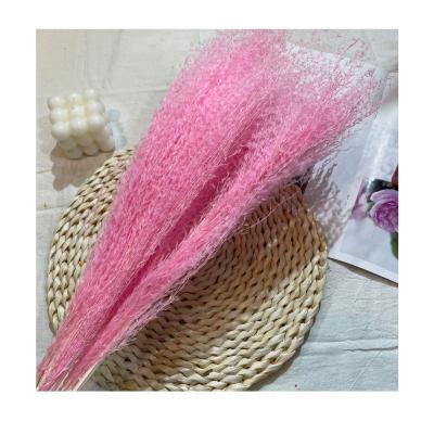 China Romantic ; Environmental Protection ; 2021 Wholesale Cheap Natural Resin Dry Arrangement For Candles Decorative Flowers Wedding Beater Dried Flower Hossu Flower for sale