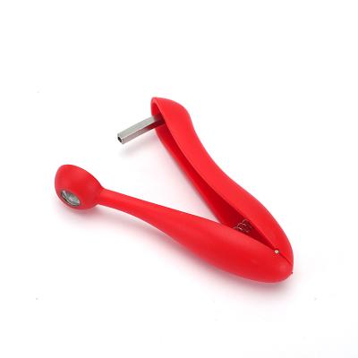 China Viable Stainless Steel Olive Pitter Remover Seed Remover Cherry Pitter Tool Kitchen Portable for sale