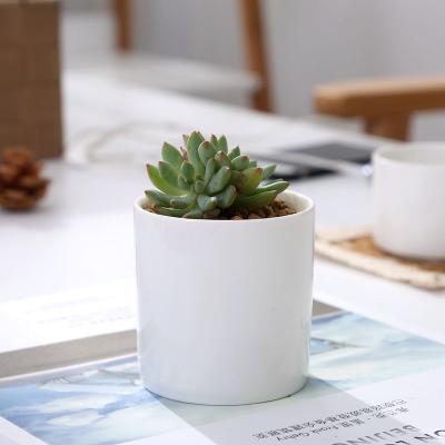 China Europe white simple creative garden succulent ceramic flower pot for desktop for sale