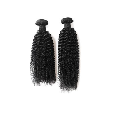 China Water Wave 100%virgin Remy Brazilian Water Wave Hair Weave Hair Extensions For Black Women for sale