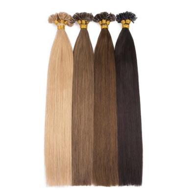 China Curly Brazilian Remy Double Drawn 14-24inch Machine Made Nail U Tip Straight Hair Extensions for sale