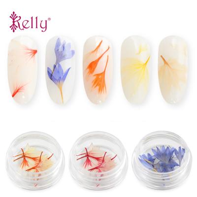 China Decorate Nail Art 3D Dry Flower Nail Decal Natural Pressed Dry Decoration For UV Gel for sale