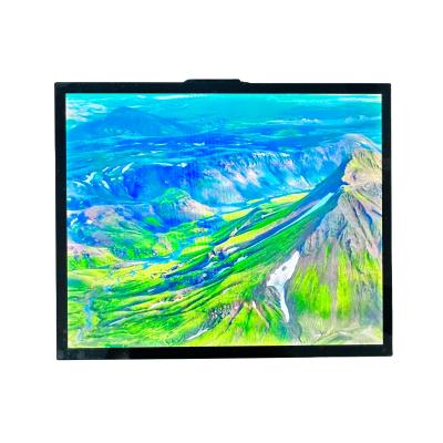 China T-CON TFT LCD Modulo TFT Pantalla de 19 pulgadas Todos los IPS Visualización 470cd Luminancia en venta