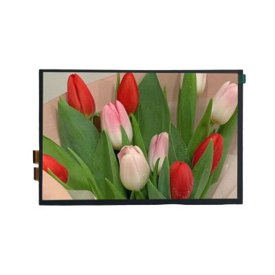 China 10.1 inch Landscape TFT LCD Module with 45pin LVDS Interface and High Resolution 1920*1200 for Tablet PC for sale