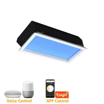 China 110V 220V 30x60cm Sky Light Panel ,  50W 7800K Skylights For Room LED for sale