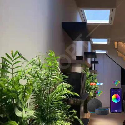 China Artificial Skylight Window Tuya LED Fake Skylight 2200K-7800K Multi Scene For Home for sale