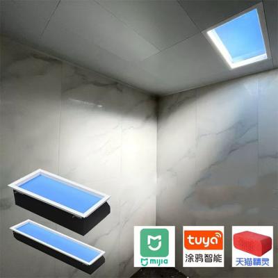 China Surface Mounted LED Artificial Skylight For Homes Offices Commercial Outdoor Lighting In White for sale