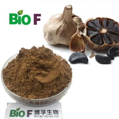 China O melhor extrato de venda do óleo do alho do preto do produto da saúde à venda