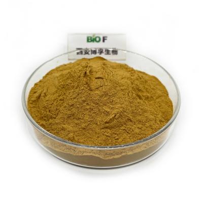China Oyster Mushroom Extract Powder Raw Material For Health Care Products And Food à venda