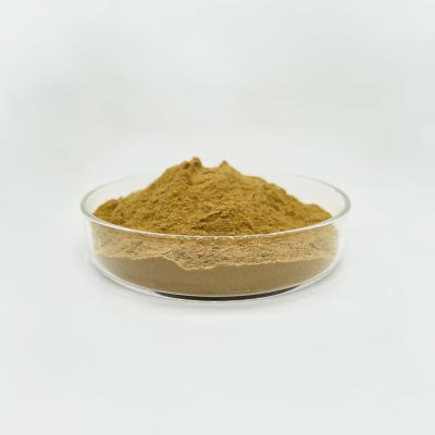China BIOF Fornecer produtos de cuidados de saúde Extracto de cogumelo de ostra em pó a granel à venda