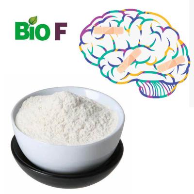 China A saúde Nefiracetam Noopept aumenta Alpha Brain Powder Nootropics 99% à venda
