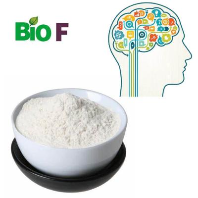 China Cápsula do impulsionador da memória de API Nootropics Noopept Powder 99% para Brain Care à venda