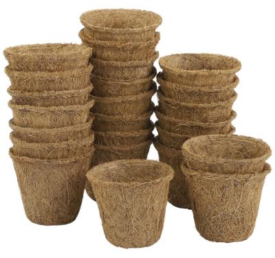 China Modern Biodegradable Coconut Palm Tree Pulp Seed Fiber Coir Seed Starter Tray Eco Friendly Pot for sale