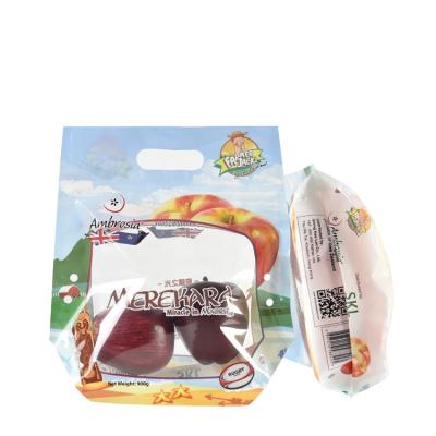 China Wholesale Moisture Proof Custom Design Stand Up Fruit Vent Bag With Zipper For Fruits for sale