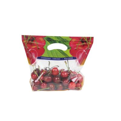 China Custom Print Moisture Proof Cherry Grape Fruit Resealable Stand Up Plastic Bag With Zipper And Handle for sale