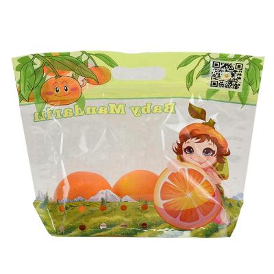 China Custom Print Moisture Proof Mylar Bags Fruit Fog Zipper Fresh Vegetable Packaging Bags With Vent Holes for sale