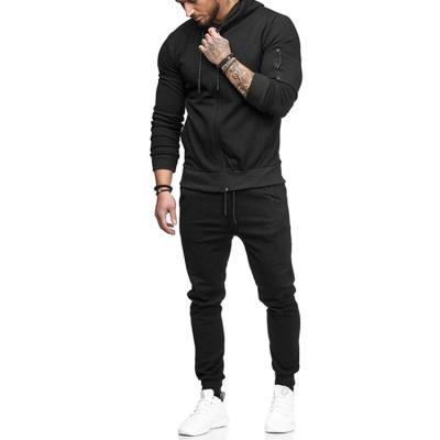 China 2019 winter zipper antibacterial sports suits wholesale fitness polyester single tracksuit for men for sale