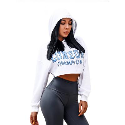 China 100% custom logo printed viable high quality embroidery cotton hoodie wholesale plus size women's hoodies for sale