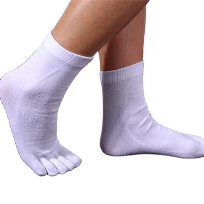 China Wholesale Antibacterial Men's Fashion Pattern Five Toe Cotton Knitting Socks for sale