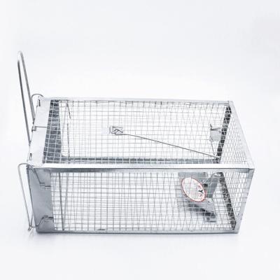 China Disposable Wire Metal Mouse Rat Mesh Trap Easy Storage Transporting Galvanized for sale