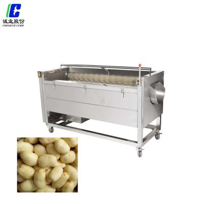 China Vegetable Snacks Factory Carrot Tomatoes Fruit Washing Machine for sale