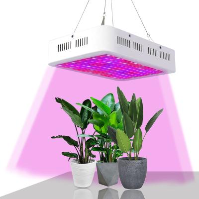 China Seed Starting Aquarium Led Indoor Led Fiber Optic Medicinal Plant Lights Use Energy From The Soil for sale